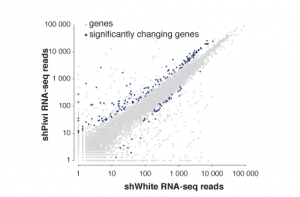genomics-transcriptomics